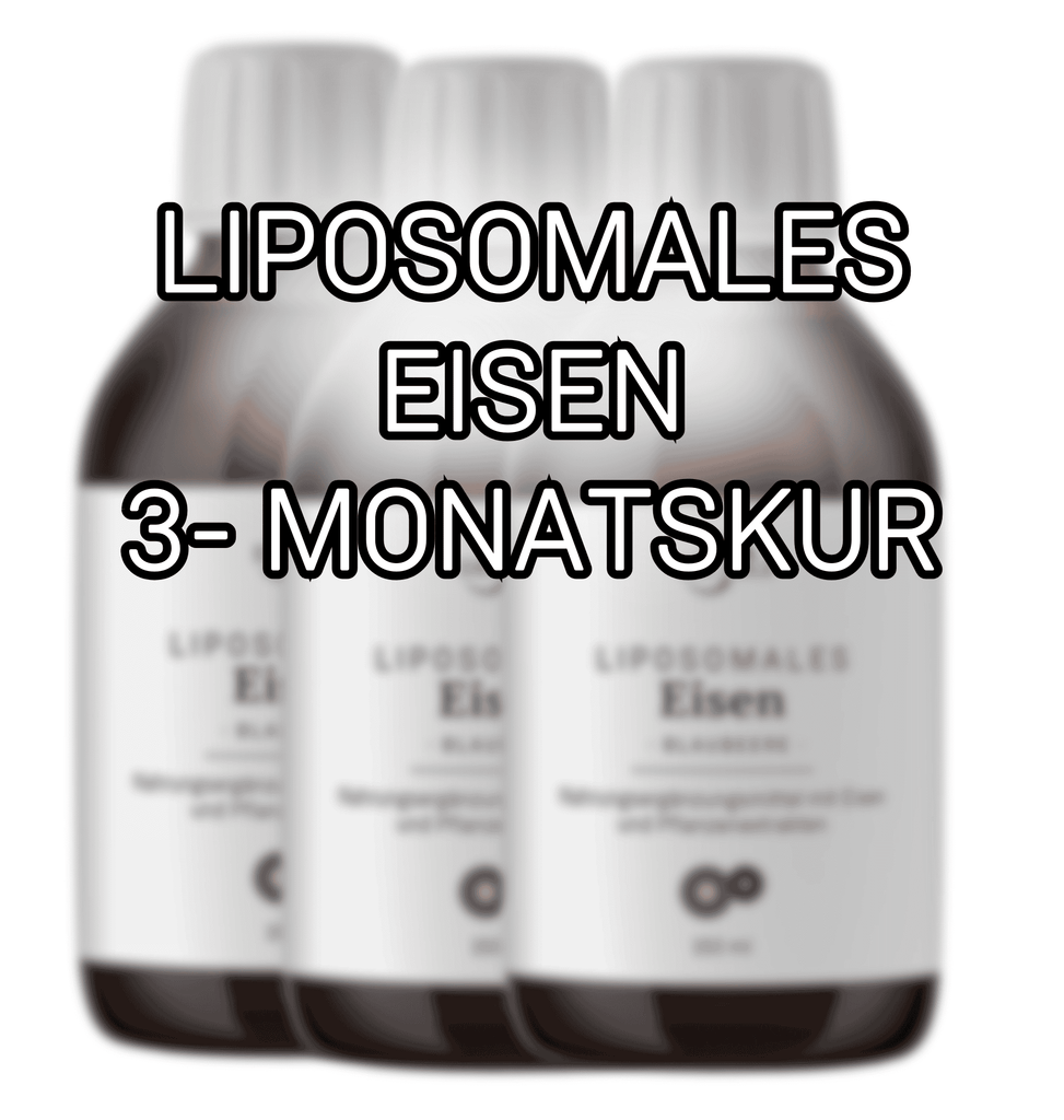 Liposomales Eisen 3-Monatskur
