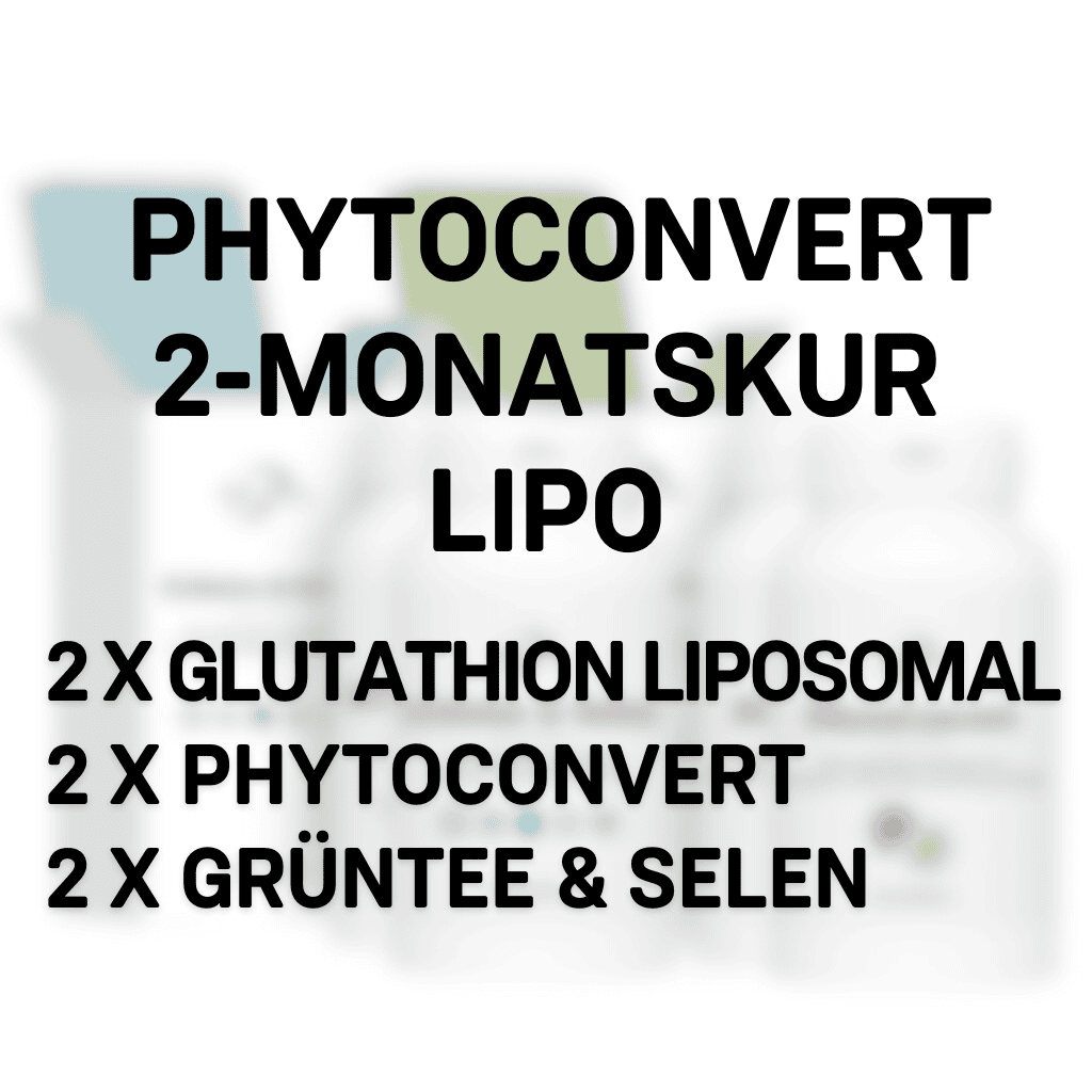 PhytoConvert 2-Monatskur LIPO