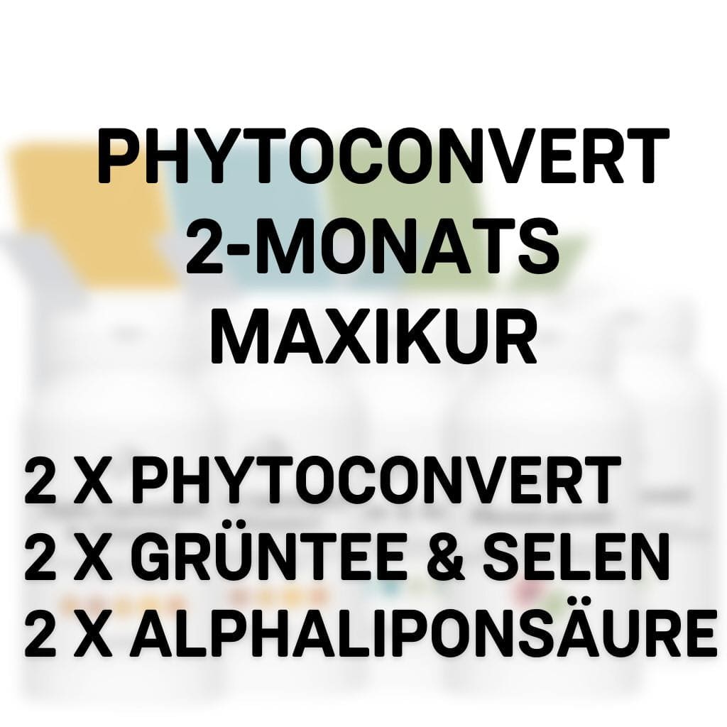 PhytoConvert 2-Monats Maxikur